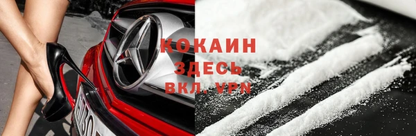 прущая мука Арсеньев