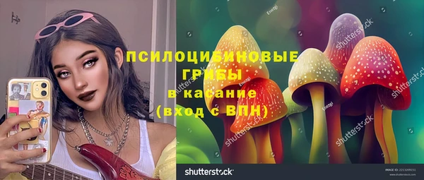 прущая мука Арсеньев